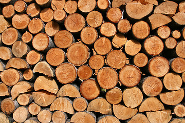 Image showing Firewood