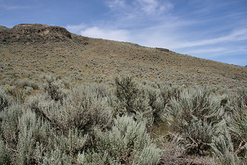 Image showing Steppe in Canada