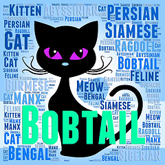 Image showing Bobtail Cat Represents Puss Mating And Reproducing