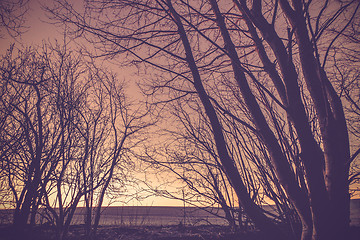 Image showing Countryside sunset with dark tree silhouettes