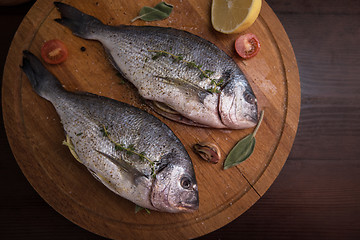 Image showing Fresh uncooked dorado