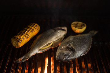 Image showing Grilled dorado fish