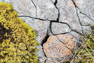 Image showing Frost leaves Destructive Patterns in a Stone