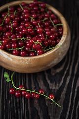 Image showing Fresh red currants