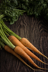 Image showing Freshly grown carrots