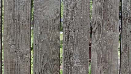 Image showing  backyard wooden fence 