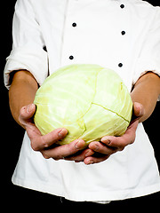 Image showing Professional chef holding a whole head of cabbage towards