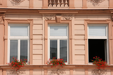 Image showing Palace windows