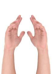 Image showing Two hand, keeping safe