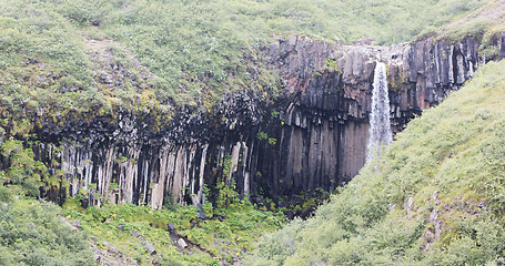 Image showing Svartifoss (Black Fall), Skaftafell, Iceland