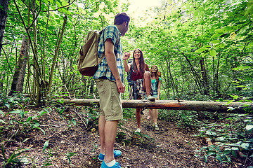 Image showing group of smiling friends with backpacks hiking