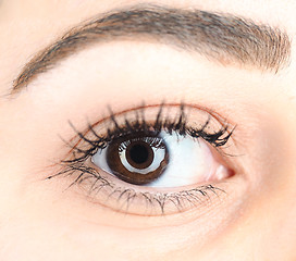 Image showing Extreme closeup of a brown female eye with long lashes