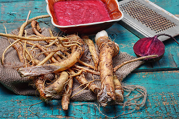 Image showing Fresh horseradish roots