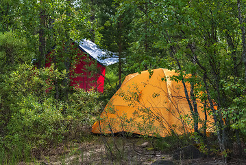 Image showing Yellow tent in the woods.