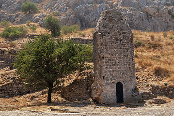 Image showing Tree and tower.