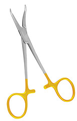 Image showing Small manicure scissors steel with gold handles