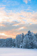 Image showing Vertical scenery frozen forest with snow-covered tiny wooden chu