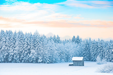 Image showing Early morning winter rural landscape with snow-covered forest