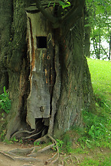 Image showing bird house in the tree