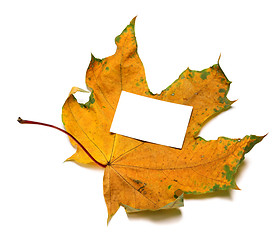 Image showing Autumnal dried maple-leaf with white empty price card