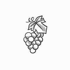 Image showing Bunch of grapes sketch icon.