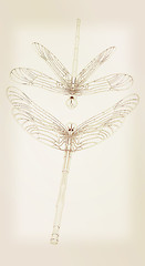 Image showing Dragonfly. 3D illustration. Vintage style.