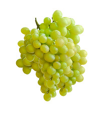 Image showing white grape 