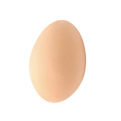 Image showing Close up of an egg isolated 