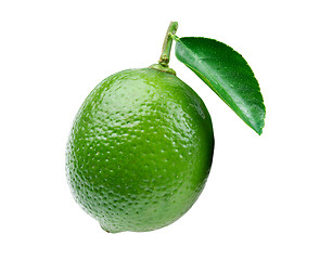 Image showing Lime on white background