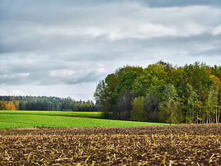 Image showing landscape with fields and clouds