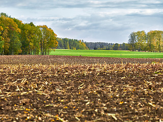 Image showing landscape with fields and clouds