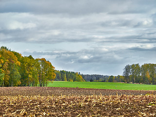 Image showing landscape with fields and clouds