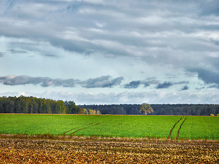 Image showing landscape with fields and clouds