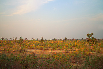 Image showing Area around Nagpur, India. Dry foothills with orchards (farmers gardens)