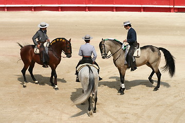 Image showing Three horsemen