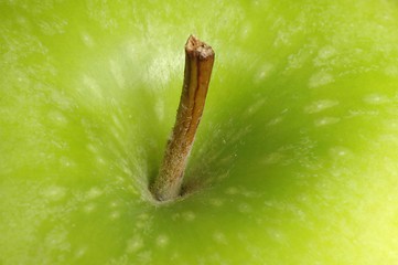 Image showing Apple