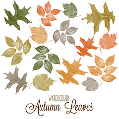 Image showing Set of watercolor colorful autumn leaves