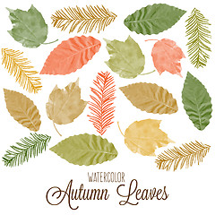 Image showing Set of watercolor colorful autumn leaves