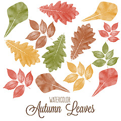 Image showing Set of watercolor colorful autumn leaves