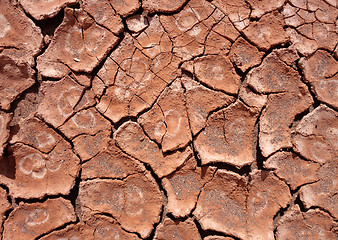 Image showing dry mud background texture