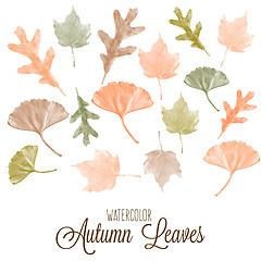 Image showing Set of watercolor colorful autumn leaves