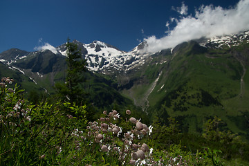 Image showing Landscape at the Grossglockner High Alpine Road, Austria