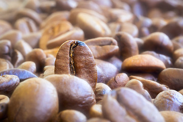 Image showing Natural coffee beans