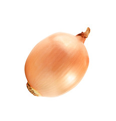 Image showing Ripe onion