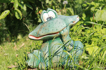 Image showing Frog 