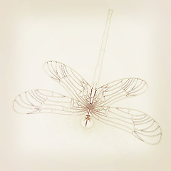 Image showing Dragonfly. 3D illustration. Vintage style.