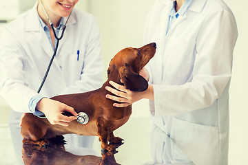 Image showing close up of vet with stethoscope and dog at clinic