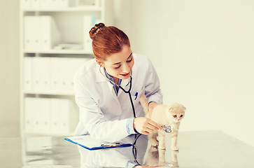 Image showing happy veterinarian with kitten at vet clinic