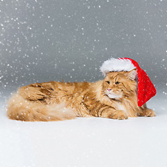 Image showing Big ginger cat in christmas hat