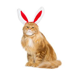 Image showing Big ginger cat in christmas rabbit ears head rim